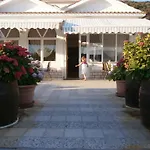 Galeb