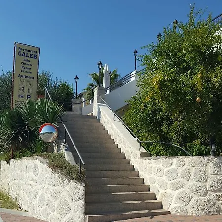 Galeb