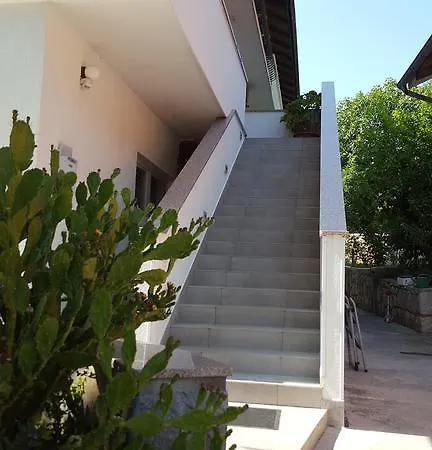 Galeb