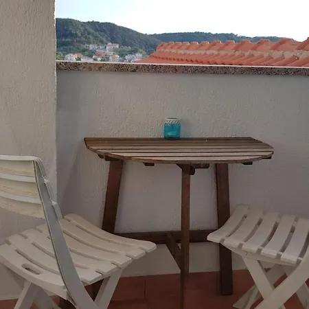 Galeb