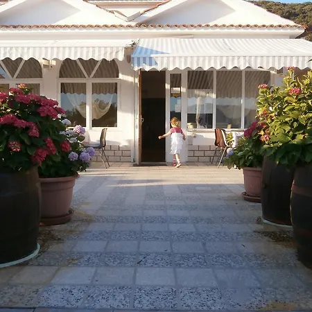 Galeb