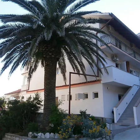 Galeb