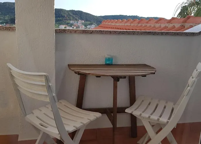 Galeb
