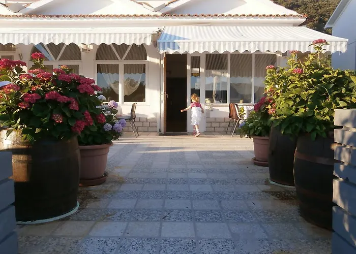 Galeb