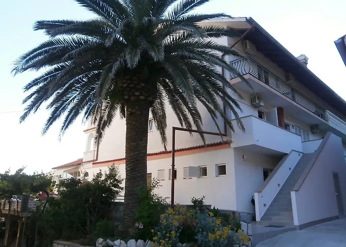 Galeb