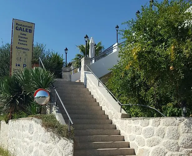 Galeb