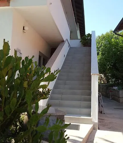 Galeb